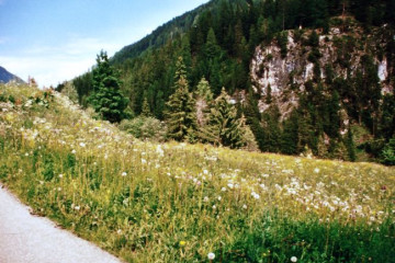 080 bei Weidmannsgesees-Baerenschlucht
